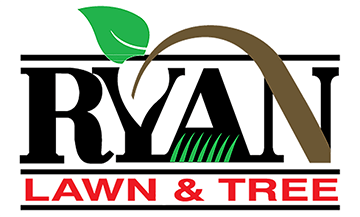 Ryan Lawn and Tree